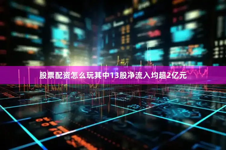 股票配资怎么玩其中13股净流入均超2亿元
