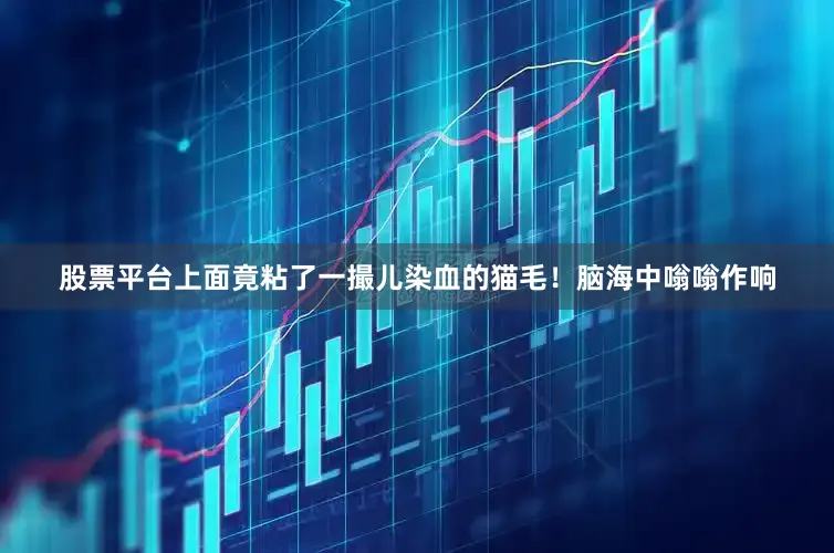 股票平台上面竟粘了一撮儿染血的猫毛！脑海中嗡嗡作响