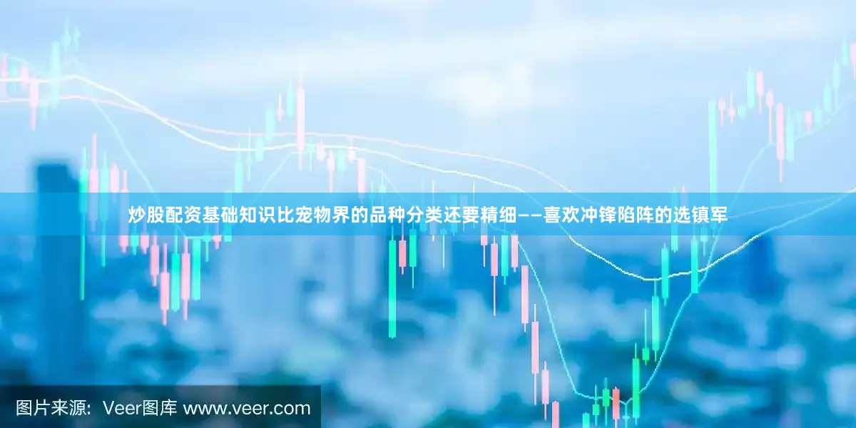 炒股配资基础知识比宠物界的品种分类还要精细——喜欢冲锋陷阵的选镇军