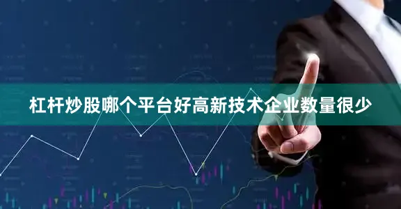 杠杆炒股哪个平台好高新技术企业数量很少