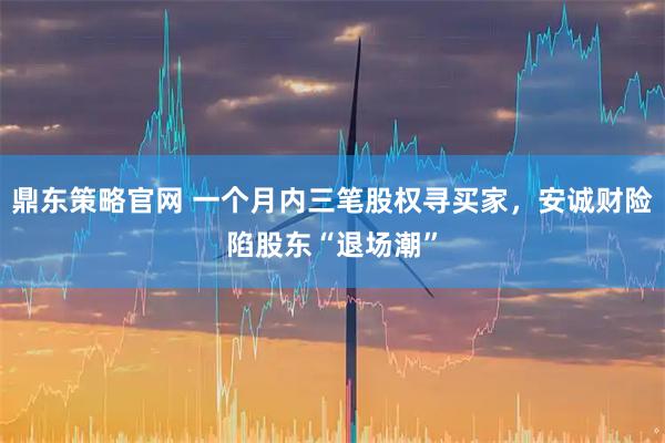 鼎东策略官网 一个月内三笔股权寻买家，安诚财险陷股东“退场潮”